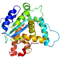 Biopharmaceutical Analysis