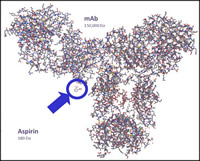 Biopharmaceutical Analysis